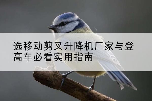 洋县电动升降机厂家-选移动剪叉升降机厂家与登高车必看实用指南