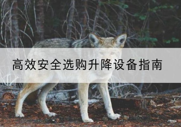 洋县升降货梯厂家推荐-*安全选购升降设备指南