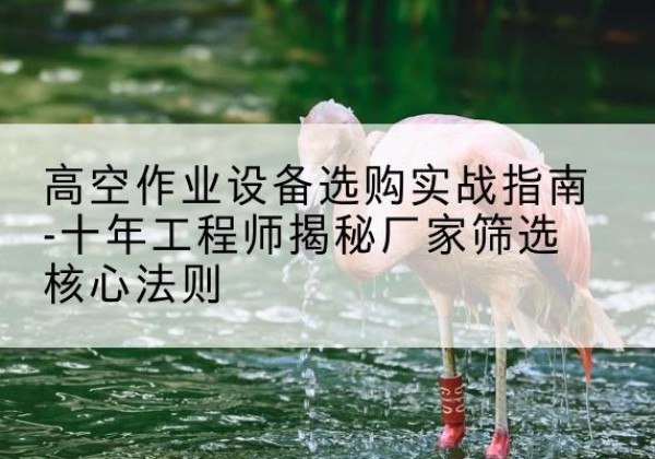 洋县剪叉式升降机厂家-高空作业设备选购实战指南-十年工程师揭秘厂家筛选核心法则