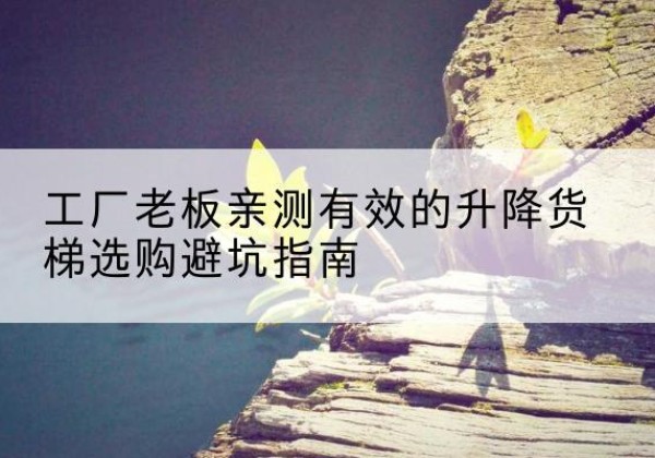 洋县升降货梯怎么选-工厂老板亲测有效的升降货梯选购避坑指南